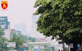 [ẢNH] Hà Nội nồng nàn hương hoa sữa
